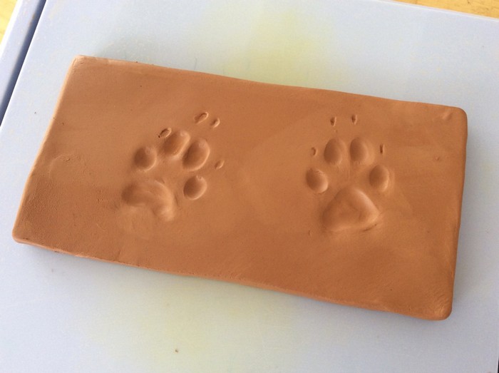 Craft Project:Pet Paw Keepsake Shadow Box 8